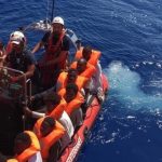 Seis países europeos acogerán a 356 migrantes del Ocean Viking