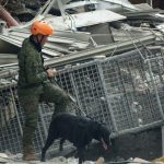 Al menos 7 muertos en nuevo terremoto de 6,5 en Filipinas