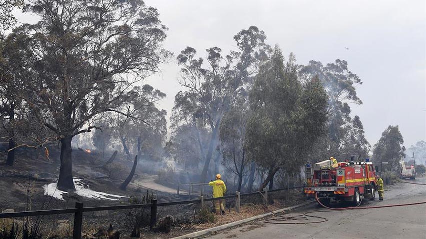 Elevadas temperaturas avivan graves incendios forestales en Australia