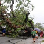 Cifra de muertos en Filipintas por Kammuri aumentó a 11