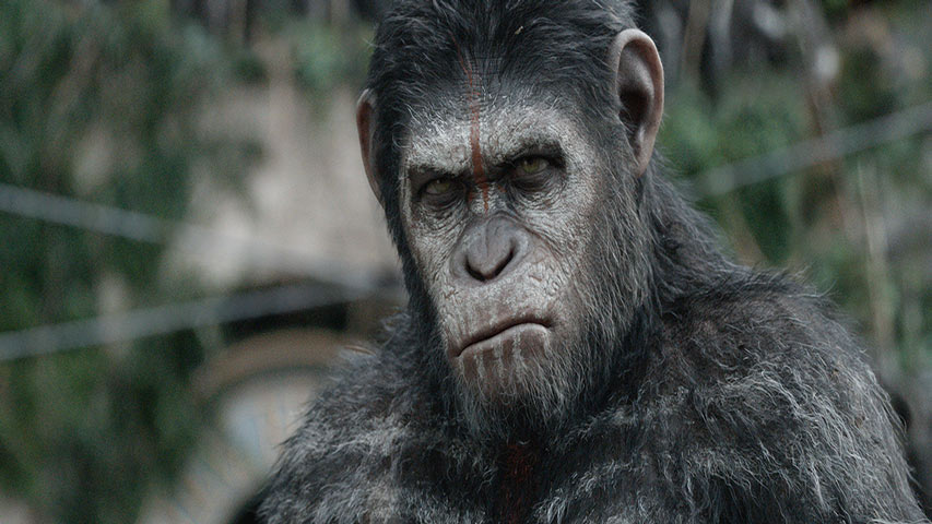 Disney trabaja en una nueva cinta de la saga «The Planet of the Apes»