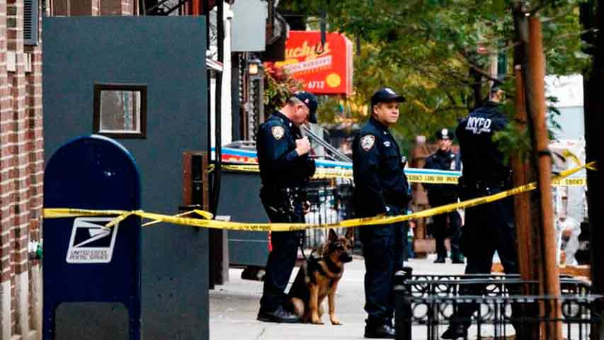 Hallan cadáveres de recién nacidos en centro de reciclaje