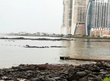 AMP aclara que mancha observada en la Bahía de Panamá no reflejó indicio de contaminación