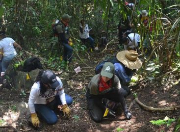 Más de 5.000 restos humanos encontrados en fosas de Veracruz en dos años