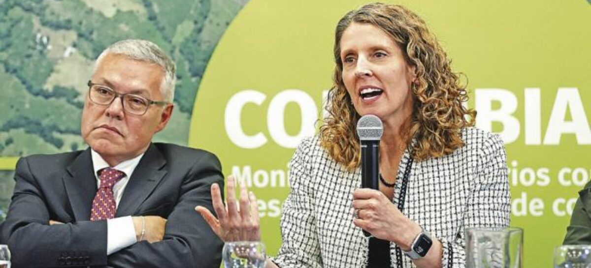 Los cultivos de coca en Colombia volvieron a romper récord